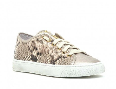 Stokton Sneaker goud