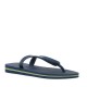 Havaianas Slipper blauw