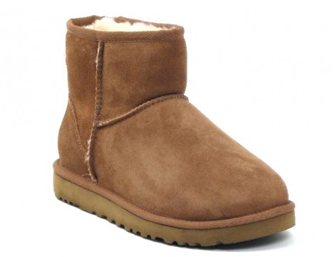 UGG Laars bruin natu