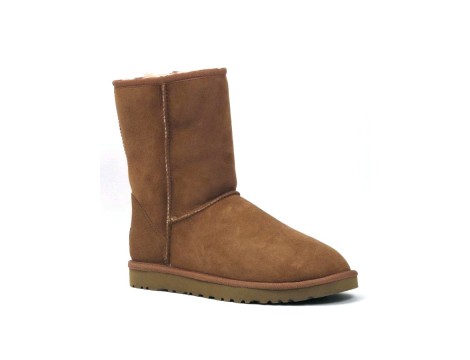 UGG Laars bruin natu